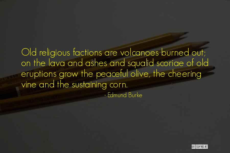 Lava Quotes By Edmund Burke