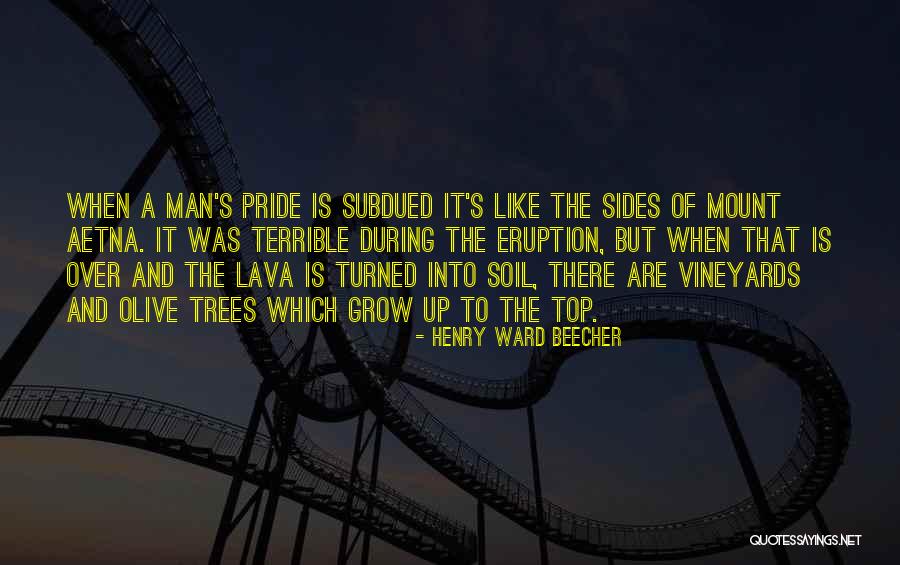 Lava Quotes By Henry Ward Beecher