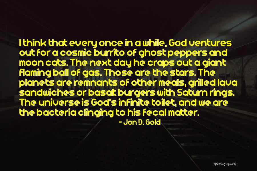 Lava Quotes By Jon D. Gold