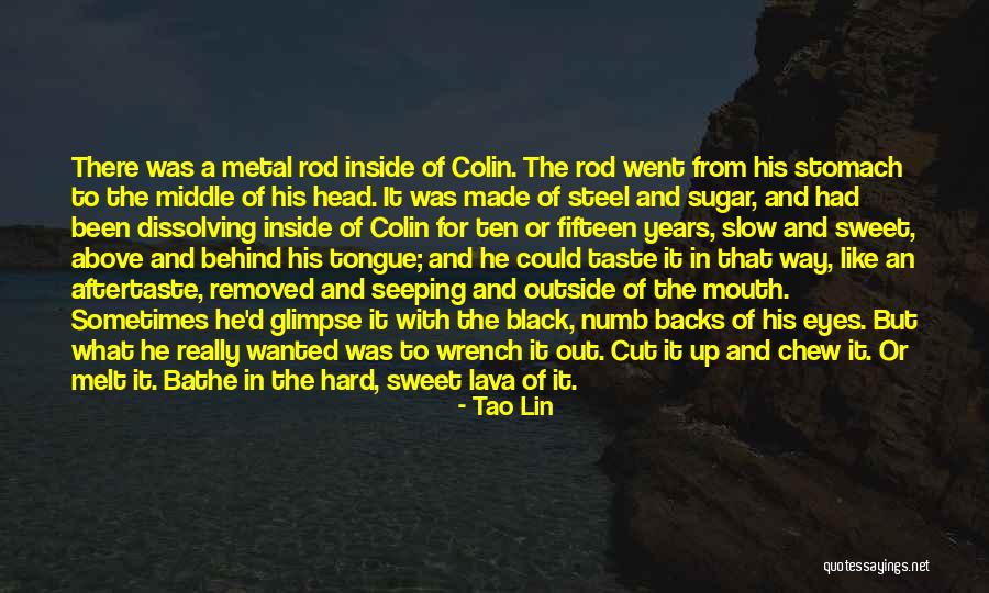 Lava Quotes By Tao Lin Lava Quotes By Tao Lin