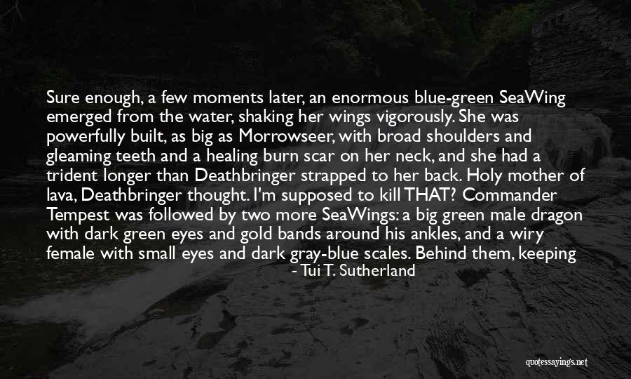 Lava Quotes By Tui T. Sutherland Lava Quotes By Tui T. Sutherland