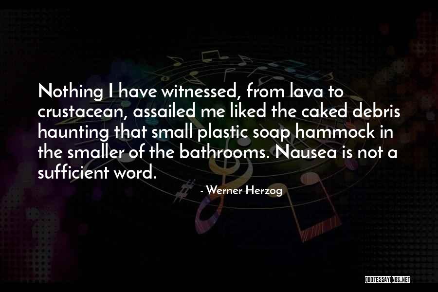 Lava Quotes By Werner Herzog