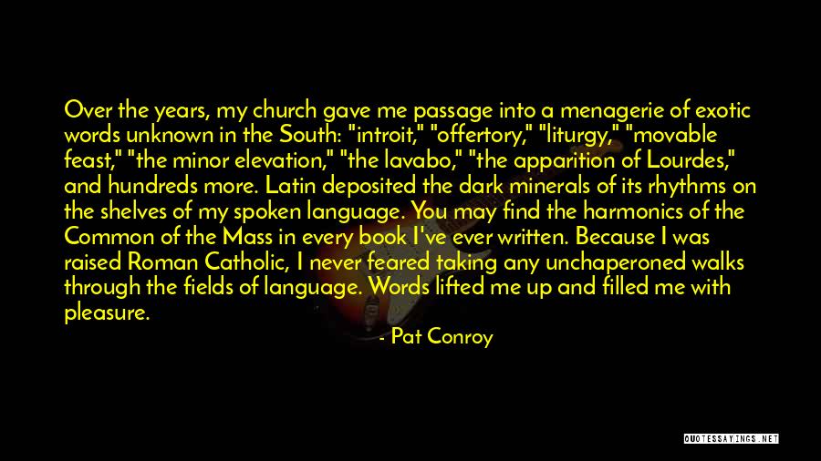 Lavabo Quotes By Pat Conroy Lavabo Quotes By Pat Conroy