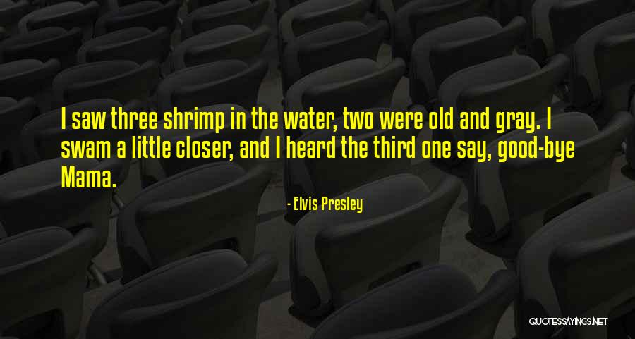 Lavanya Nagineni Quotes By Elvis Presley Lavanya Nagineni Quotes By Elvis Presley