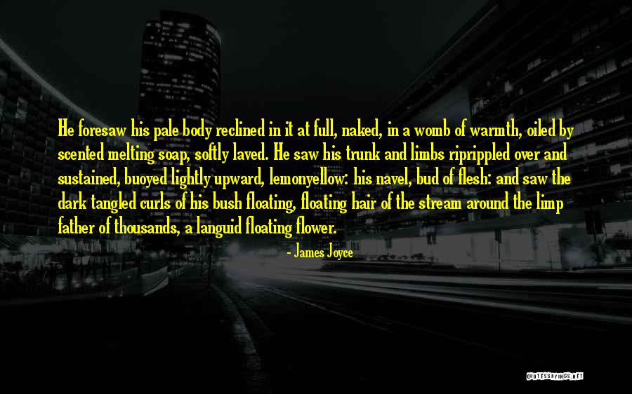 Laved Quotes By James Joyce Laved Quotes By James Joyce