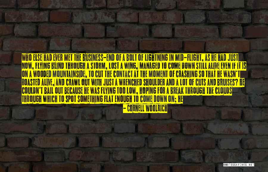 Lavedo Quotes By Cornell Woolrich Lavedo Quotes By Cornell Woolrich