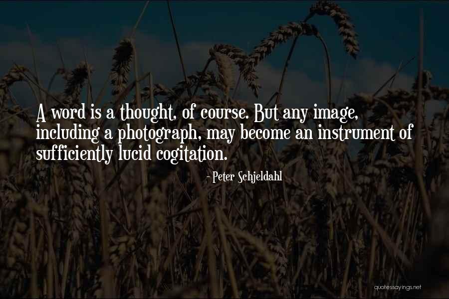Lavenstein Neurology Quotes By Peter Schjeldahl Lavenstein Neurology Quotes By Peter Schjeldahl