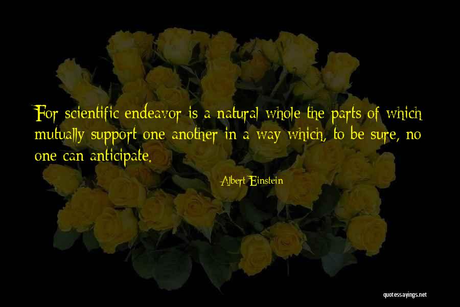 Lavete Bumbac Quotes By Albert Einstein Lavete Bumbac Quotes By Albert Einstein