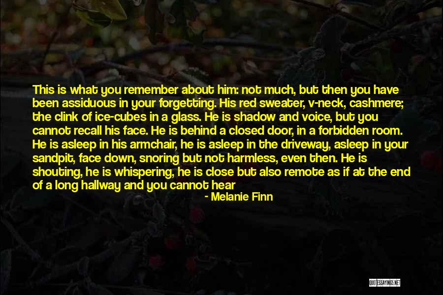 Lavete Hair Quotes By Melanie Finn Lavete Hair Quotes By Melanie Finn
