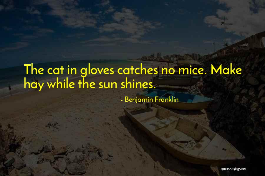 Laviana Lantana Quotes By Benjamin Franklin Laviana Lantana Quotes By Benjamin Franklin
