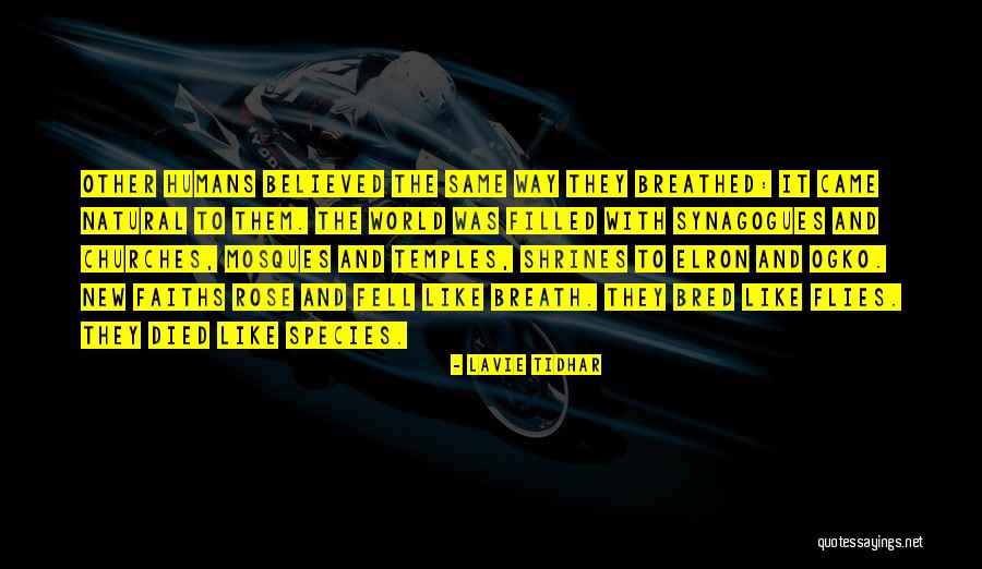 Lavie Tidhar Quotes 899312