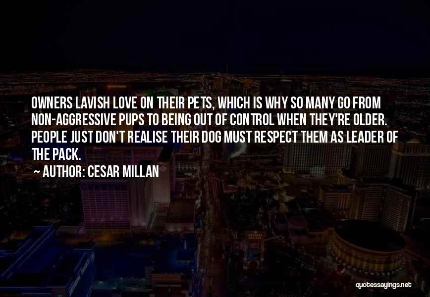 Lavish Love Quotes By Cesar Millan