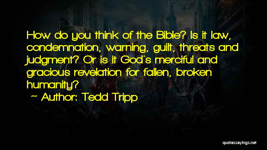 Law And Bible Quotes By Tedd Tripp