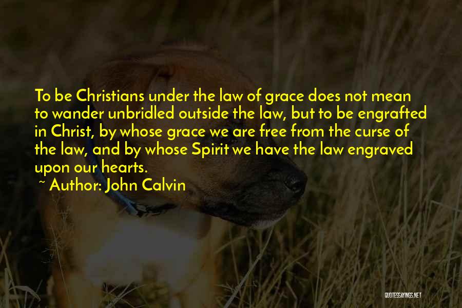 Law And Grace Quotes By John Calvin