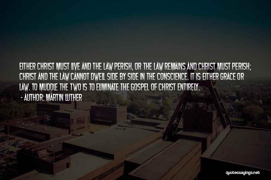 Law And Grace Quotes By Martin Luther