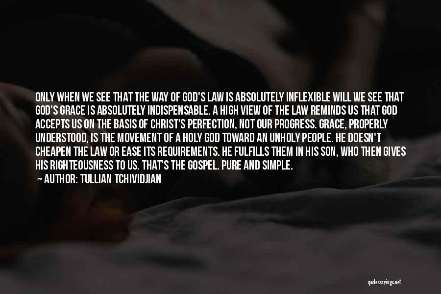 Law And Grace Quotes By Tullian Tchividjian