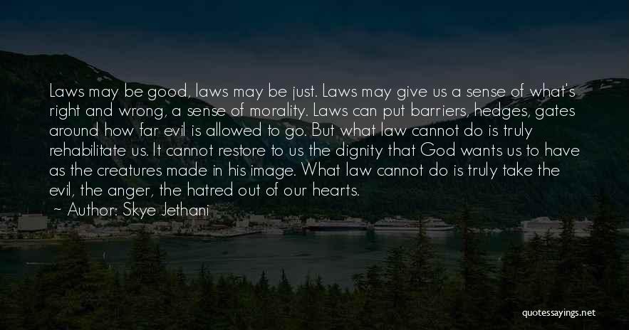 Law And Morality Quotes By Skye Jethani