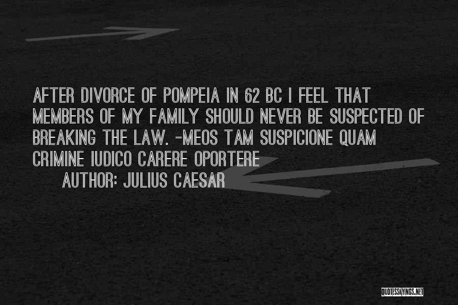 Law Breaking Quotes By Julius Caesar