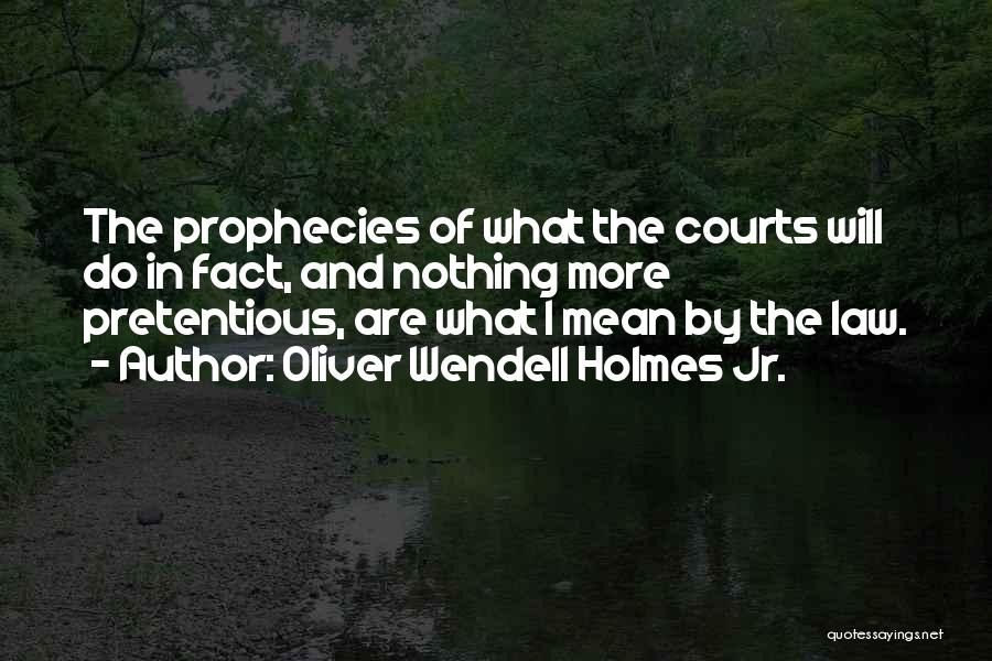 Law Courts Quotes By Oliver Wendell Holmes Jr.