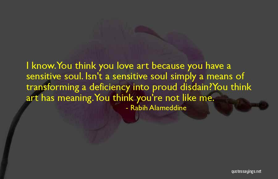 Law Enforcement Romance Quotes By Rabih Alameddine