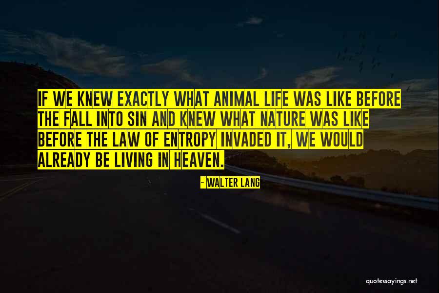 Law Fall Quotes By Walter Lang Law Fall Quotes By Walter Lang
