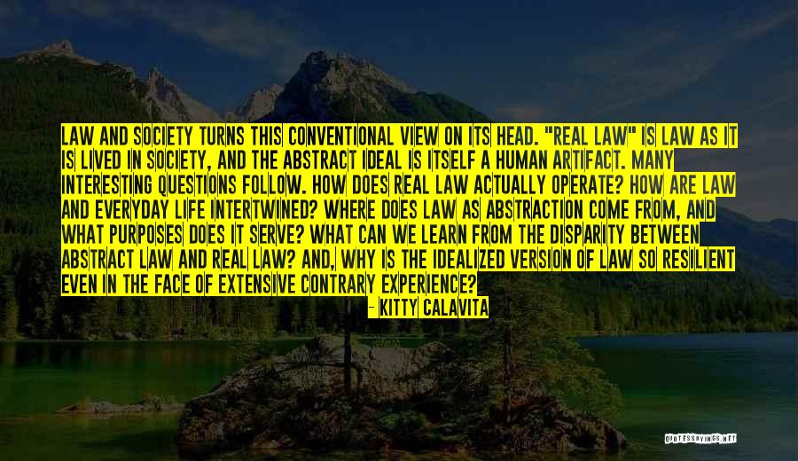 Law In Society Quotes By Kitty Calavita Law In Society Quotes By Kitty Calavita