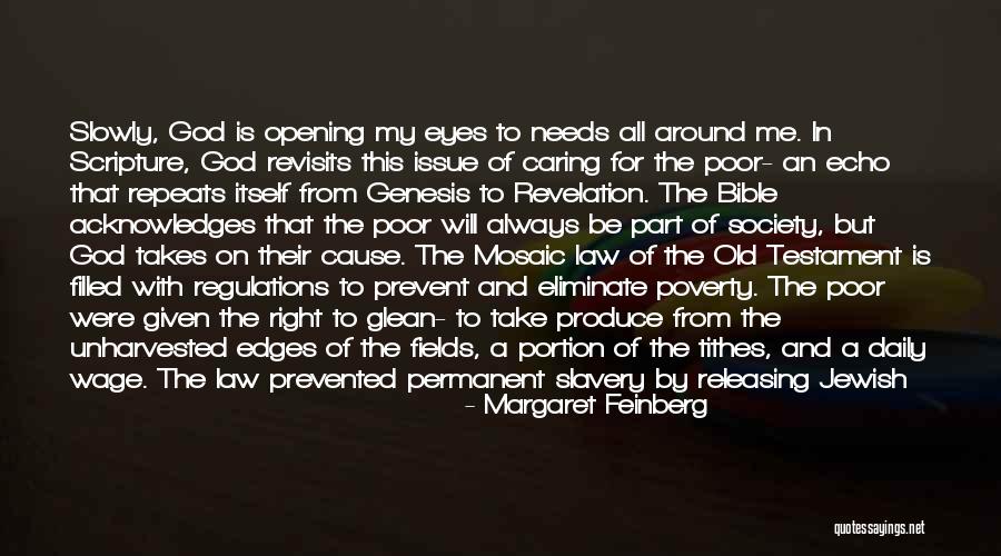 Law In Society Quotes By Margaret Feinberg Law In Society Quotes By Margaret Feinberg