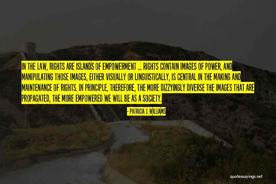 Law In Society Quotes By Patricia J. Williams Law In Society Quotes By Patricia J. Williams