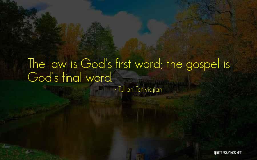 Law Is Quotes By Tullian Tchividjian