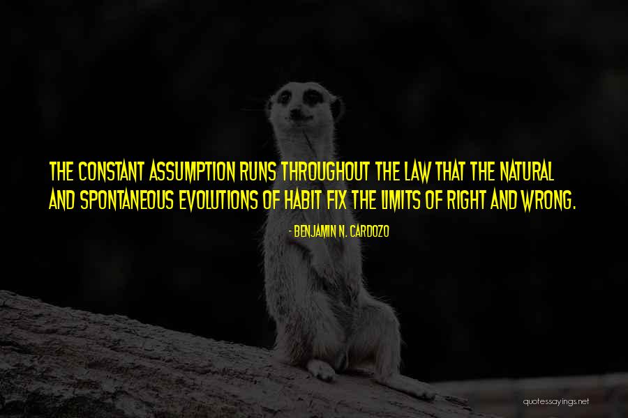 Law Of Assumption Quotes By Benjamin N. Cardozo Law Of Assumption Quotes By Benjamin N. Cardozo