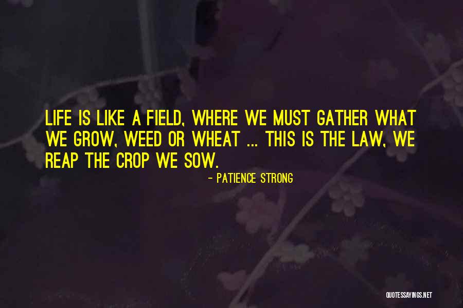 Law Of Attraction Life Quotes By Patience Strong Law Of Attraction Life Quotes By Patience Strong