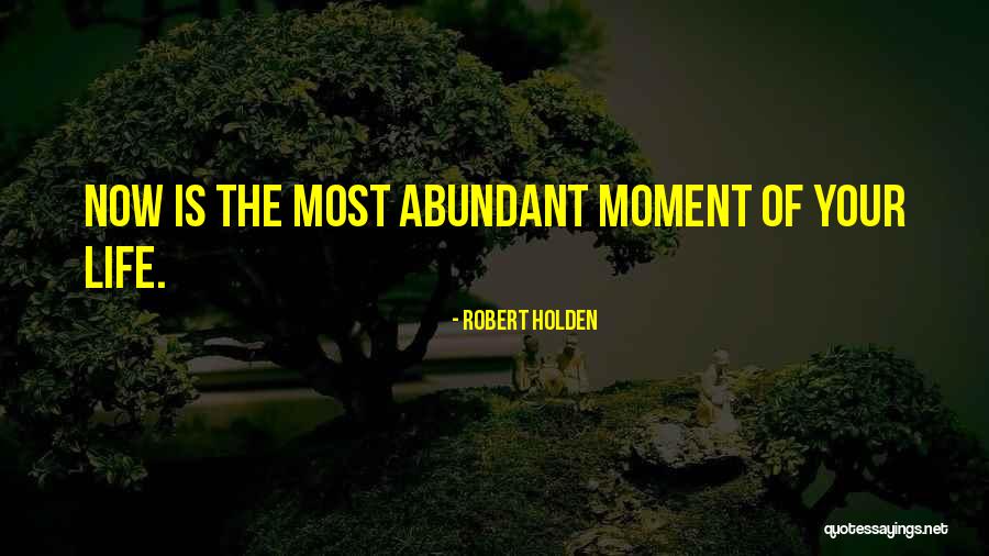 Law Of Attraction Life Quotes By Robert Holden