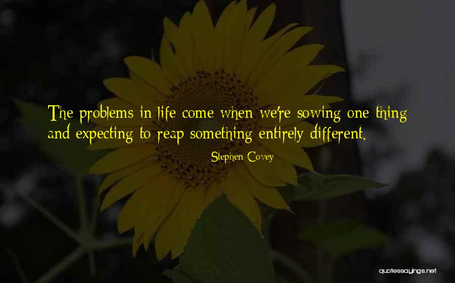 Law Of Attraction Life Quotes By Stephen Covey Law Of Attraction Life Quotes By Stephen Covey
