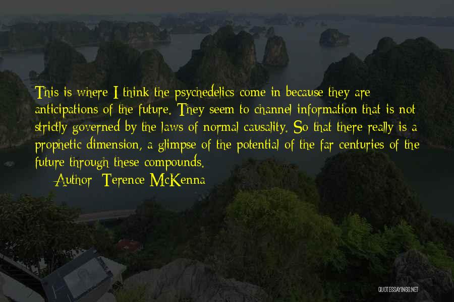 Law Of Causality Quotes By Terence McKenna
