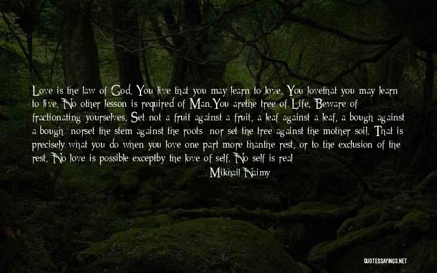 Law Of God Quotes By Mikhail Naimy