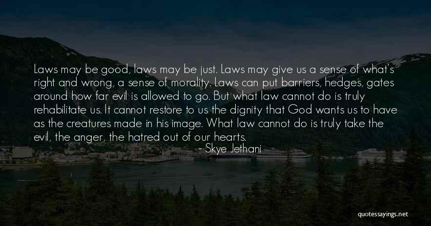 Law Of God Quotes By Skye Jethani