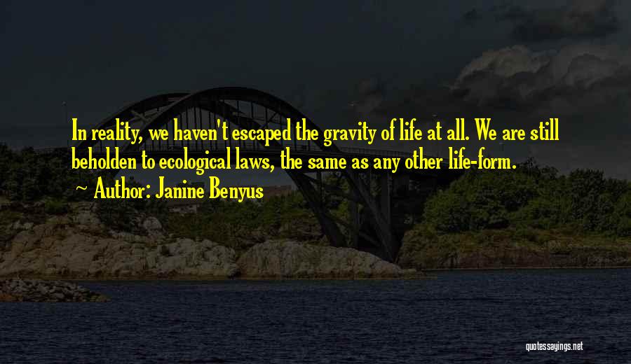 Law Of Gravity Quotes By Janine Benyus