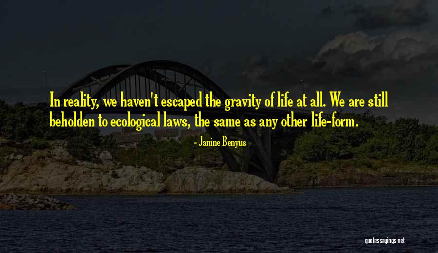 Law Of Gravity Quotes By Janine Benyus