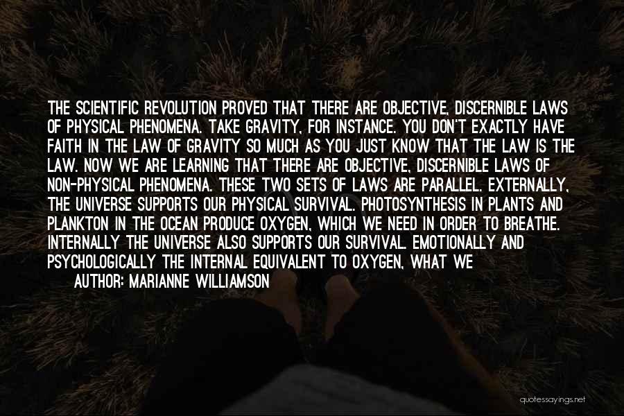 Law Of Gravity Quotes By Marianne Williamson