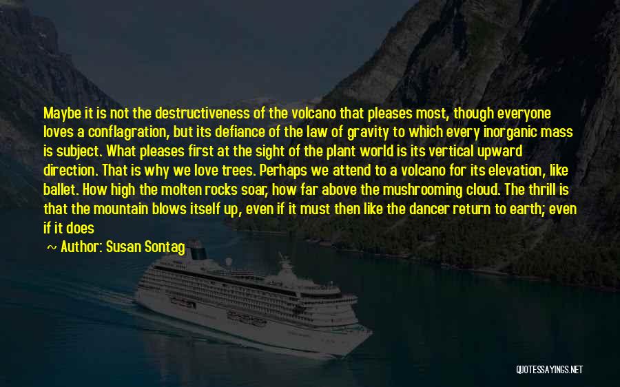 Law Of Gravity Quotes By Susan Sontag