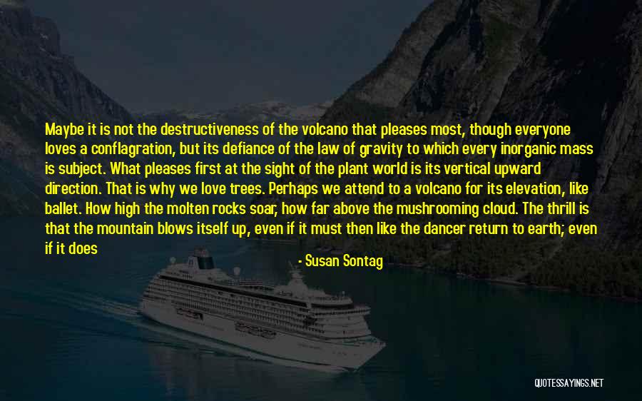 Law Of Gravity Quotes By Susan Sontag