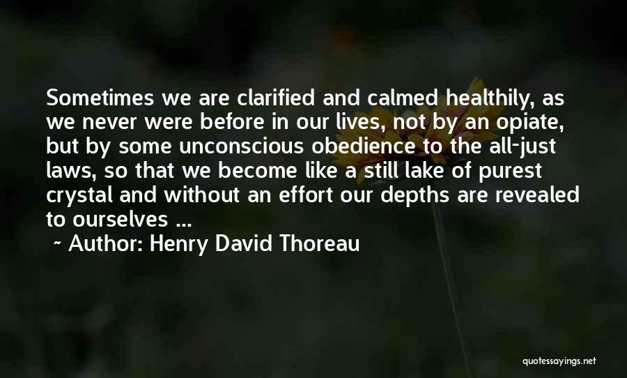 Law Of Life Quotes By Henry David Thoreau