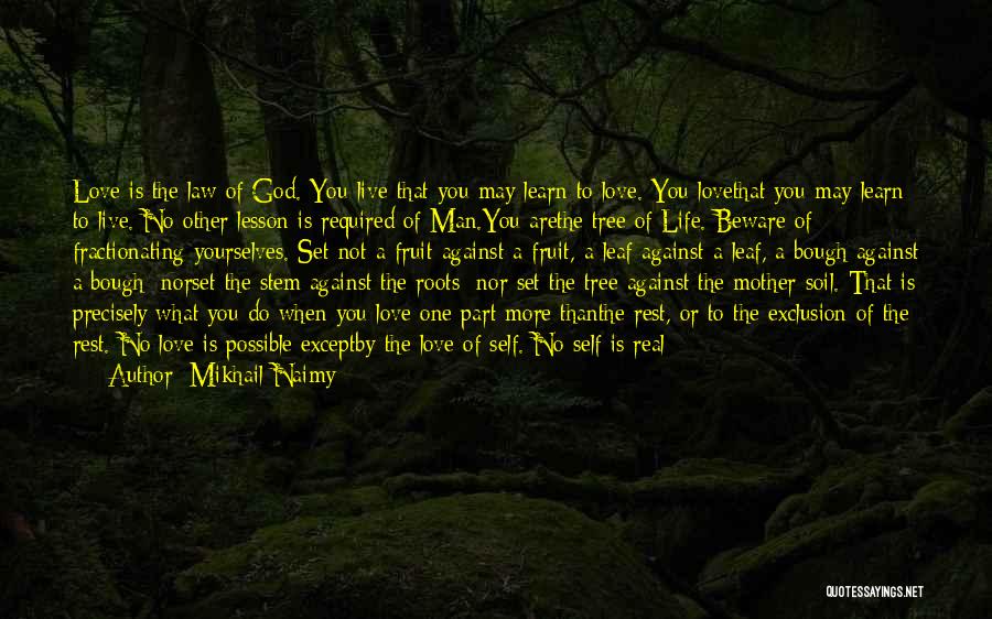 Law Of Life Quotes By Mikhail Naimy