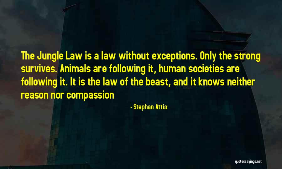 Law Reason Quotes By Stephan Attia Law Reason Quotes By Stephan Attia