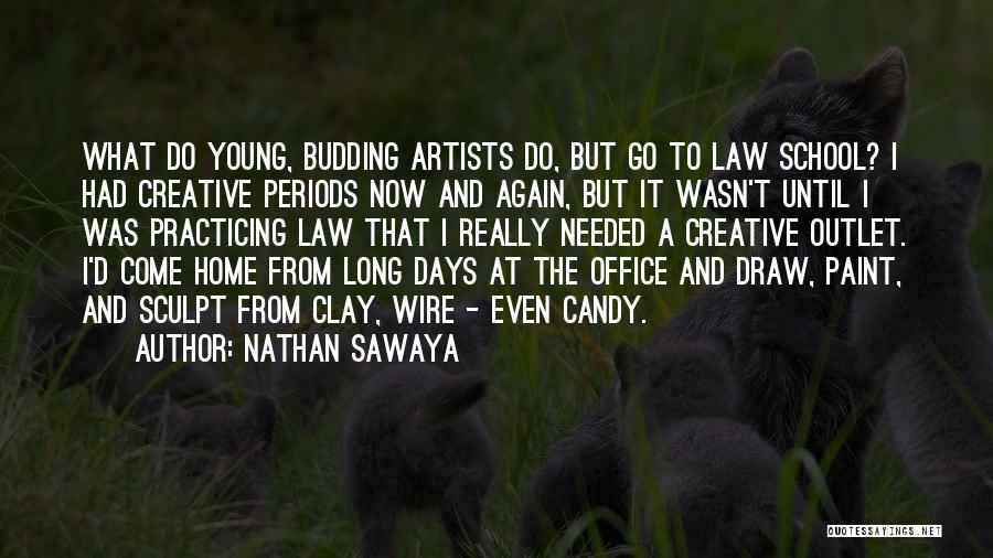 Law School Quotes By Nathan Sawaya