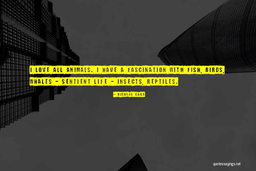 Lawaai Engels Quotes By Nicolas Cage Lawaai Engels Quotes By Nicolas Cage