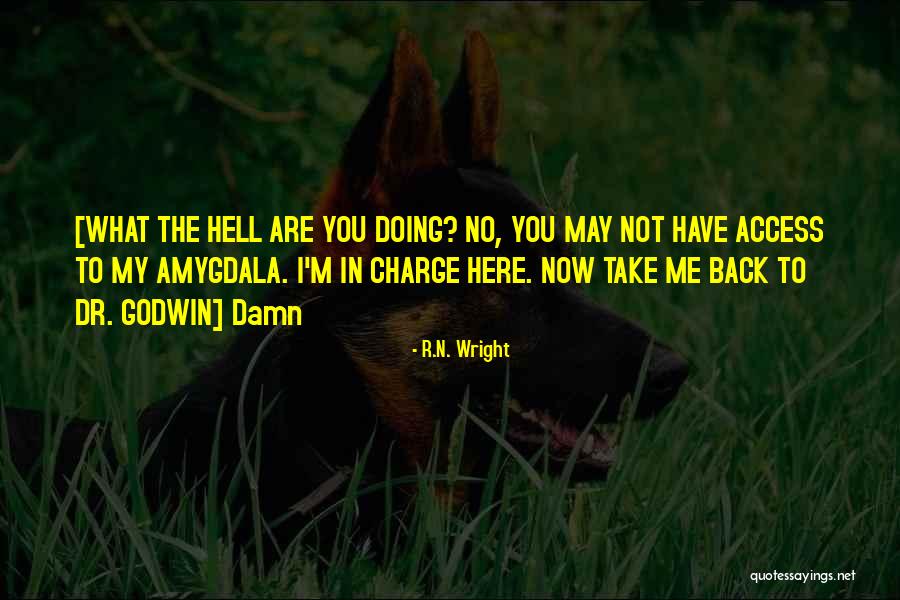 Lawfulness Aba Quotes By R.N. Wright Lawfulness Aba Quotes By R.N. Wright