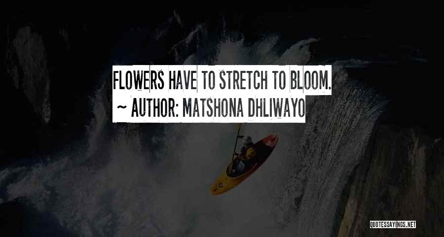 Lawmaster Quotes By Matshona Dhliwayo