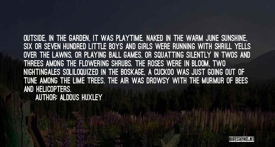 Lawns Quotes By Aldous Huxley
