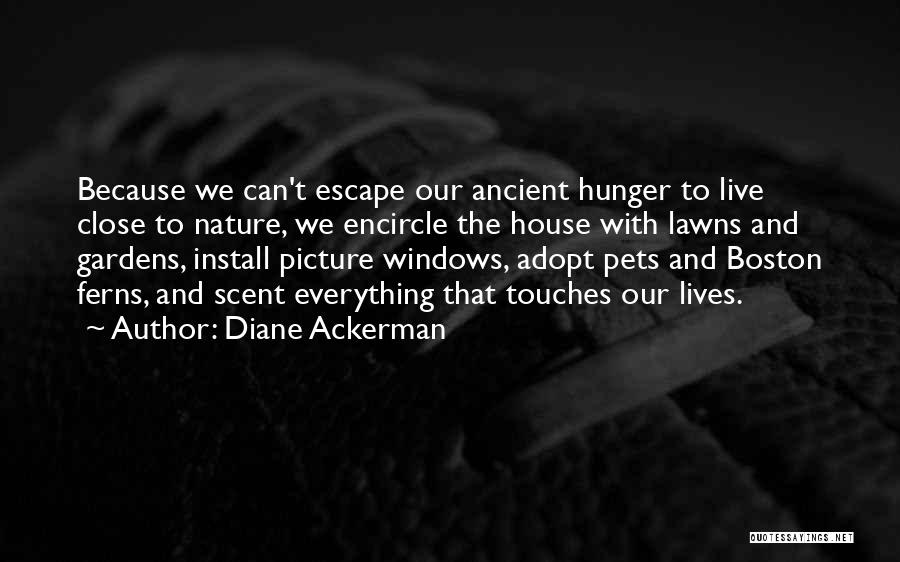 Lawns Quotes By Diane Ackerman